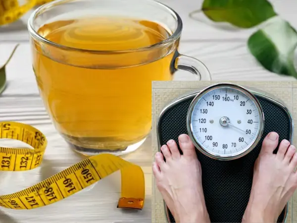 Green Tea in Weight Loss in hindi